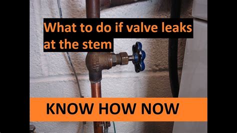 shut off valve leaking at stem|Shut